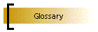Glossary