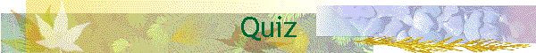 Quiz