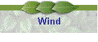 Wind
